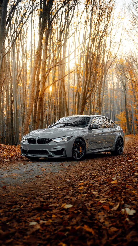 bmw forest autumn